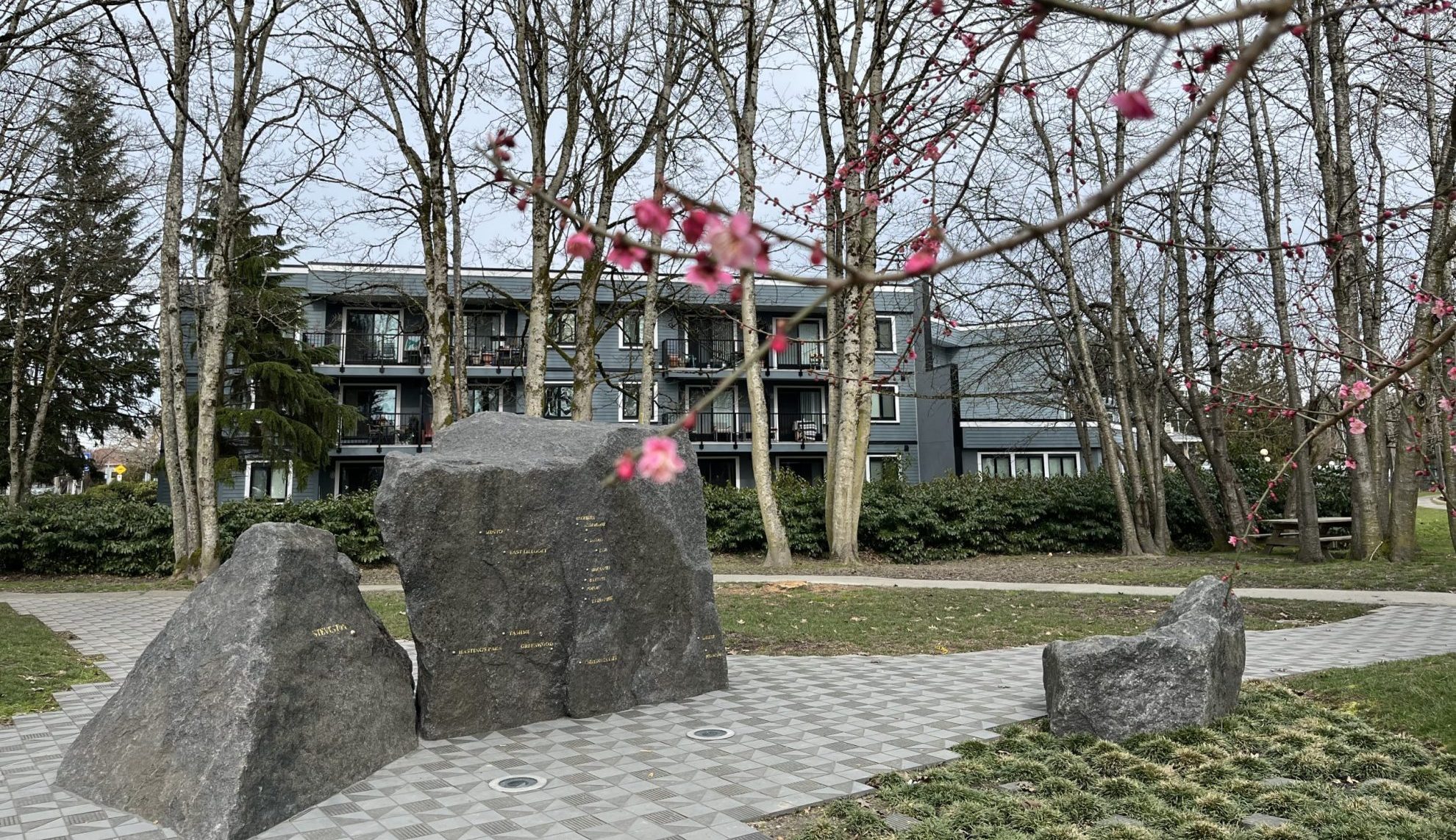 Plum blossoms bloom in front of the granite sculptures in the Steveston Nikkei Memorial park