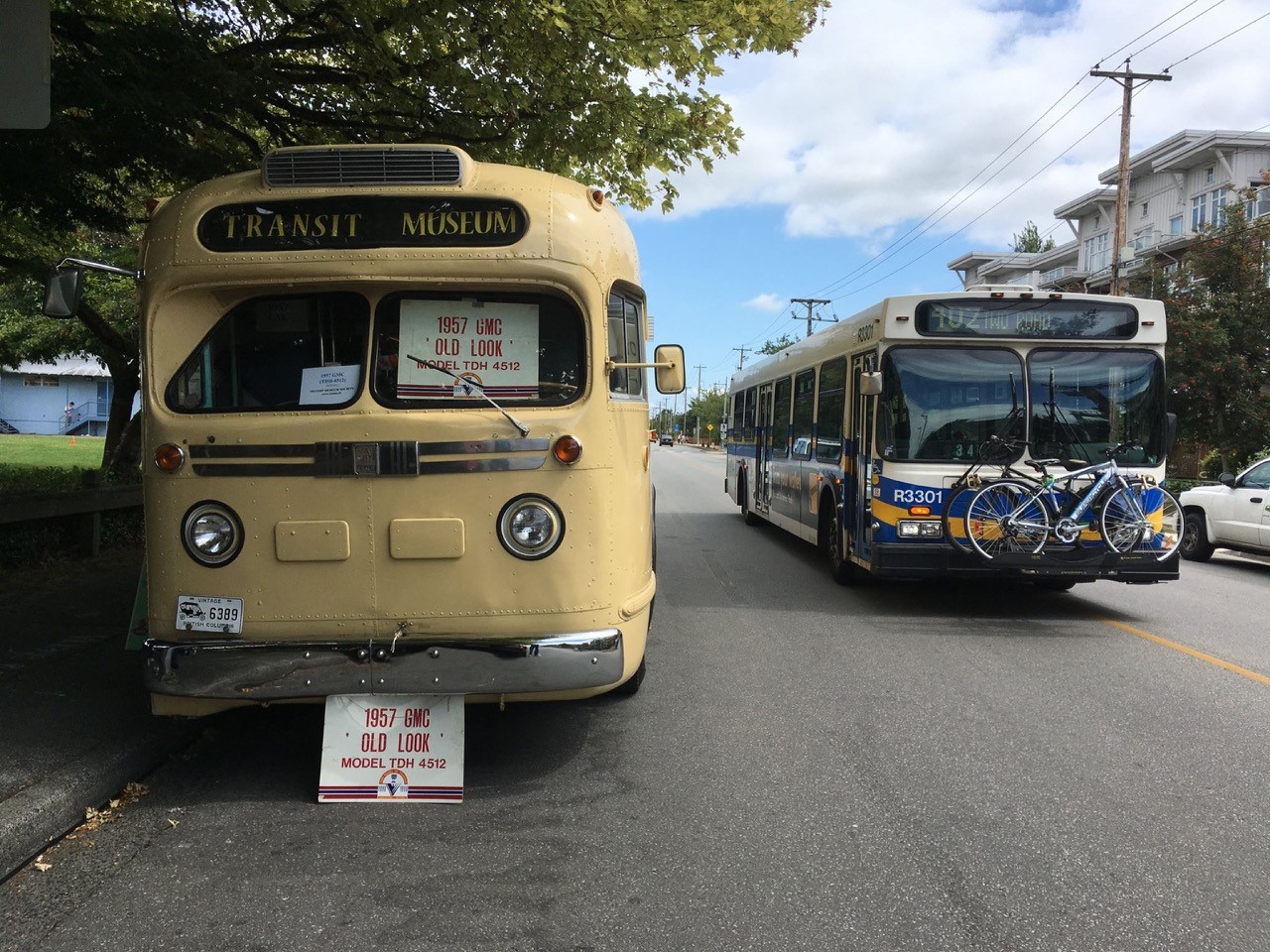 Vintage cream coloured bus next to a BC Transit bus on a street