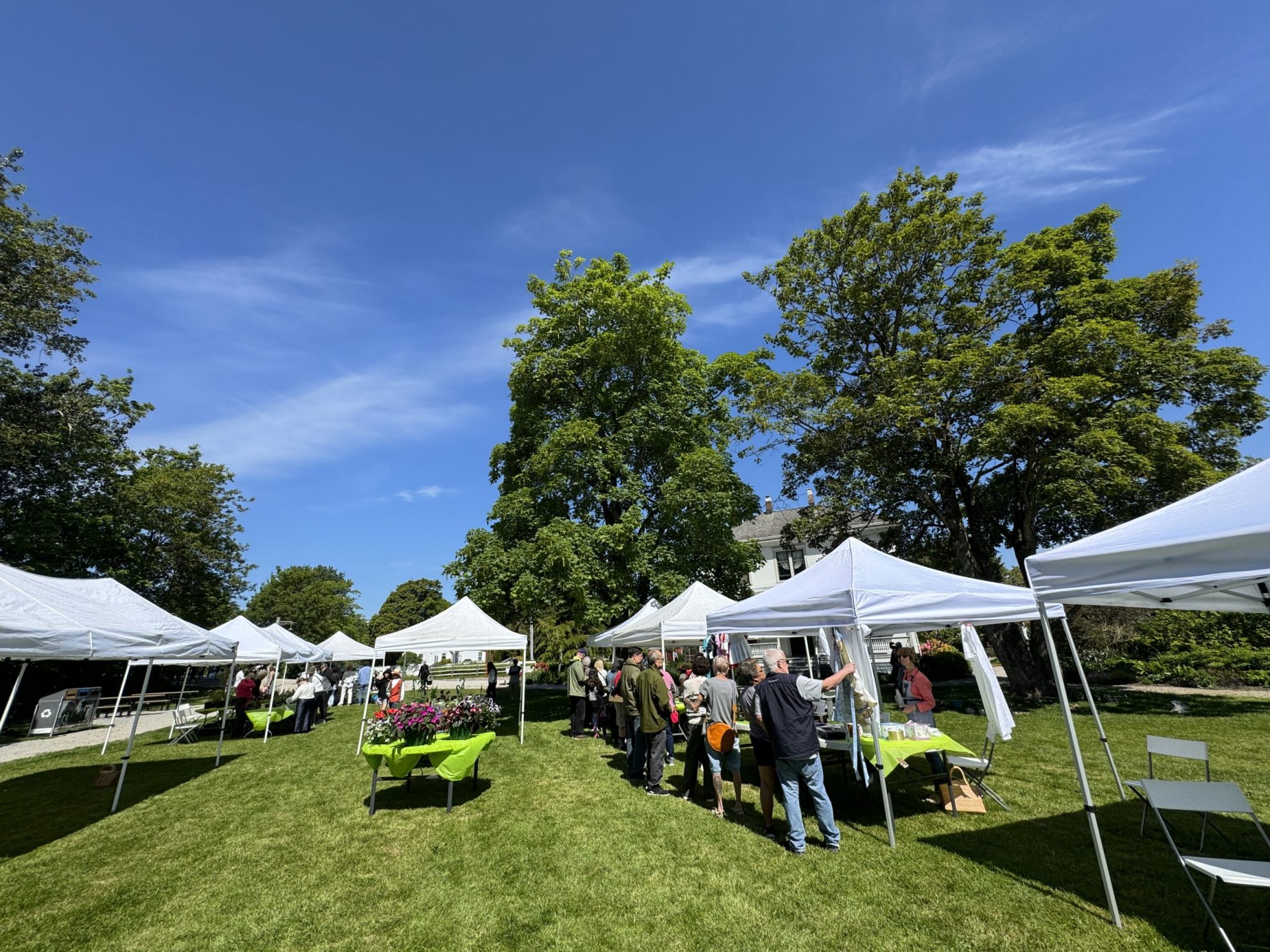 white tents and people at a plant sale