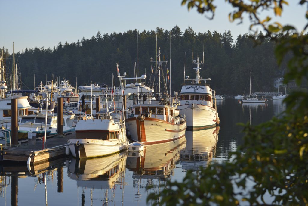 Collection of boats at a dock at sunset