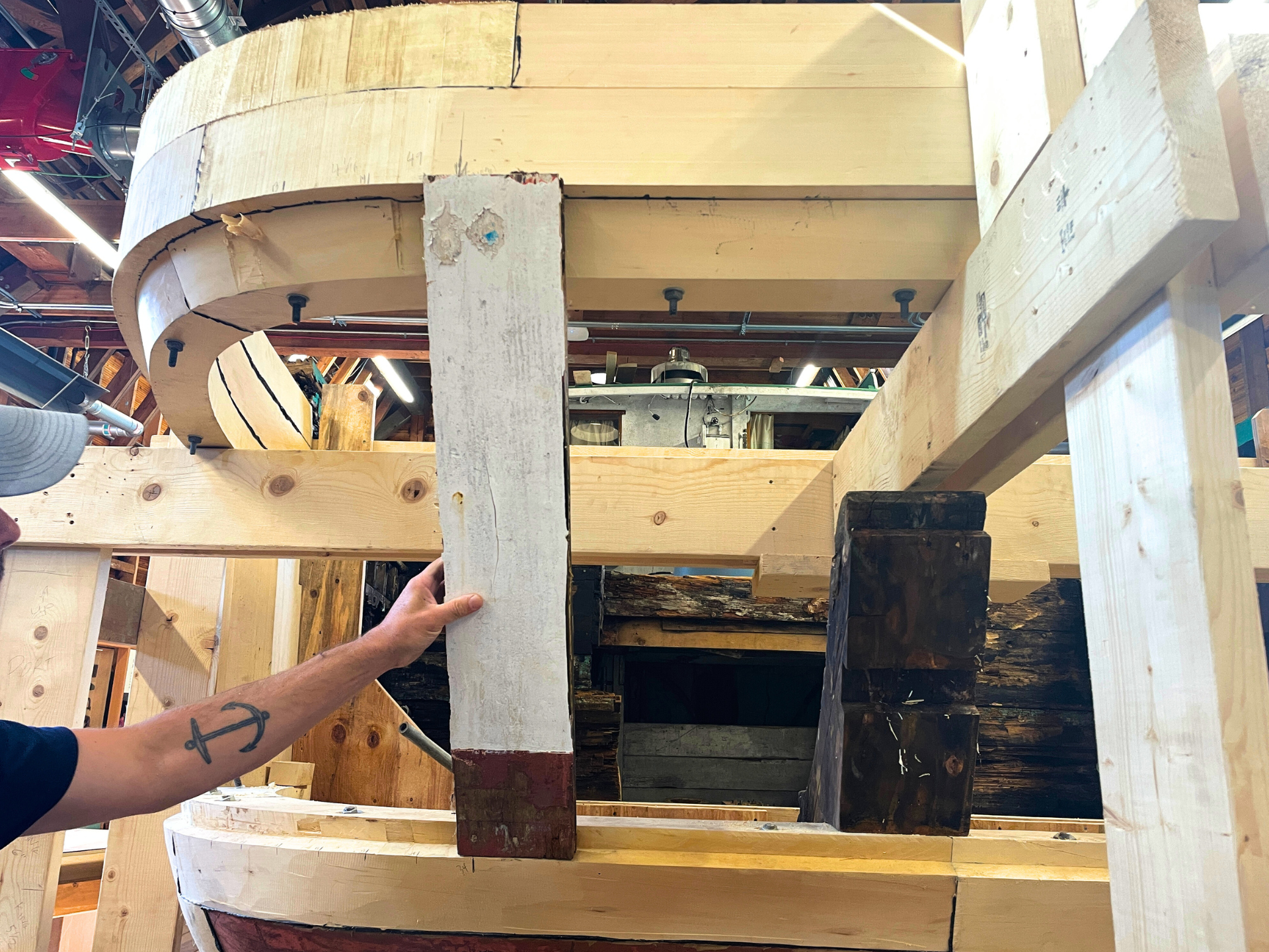 Old pickets and stern knee on the Crystal S.