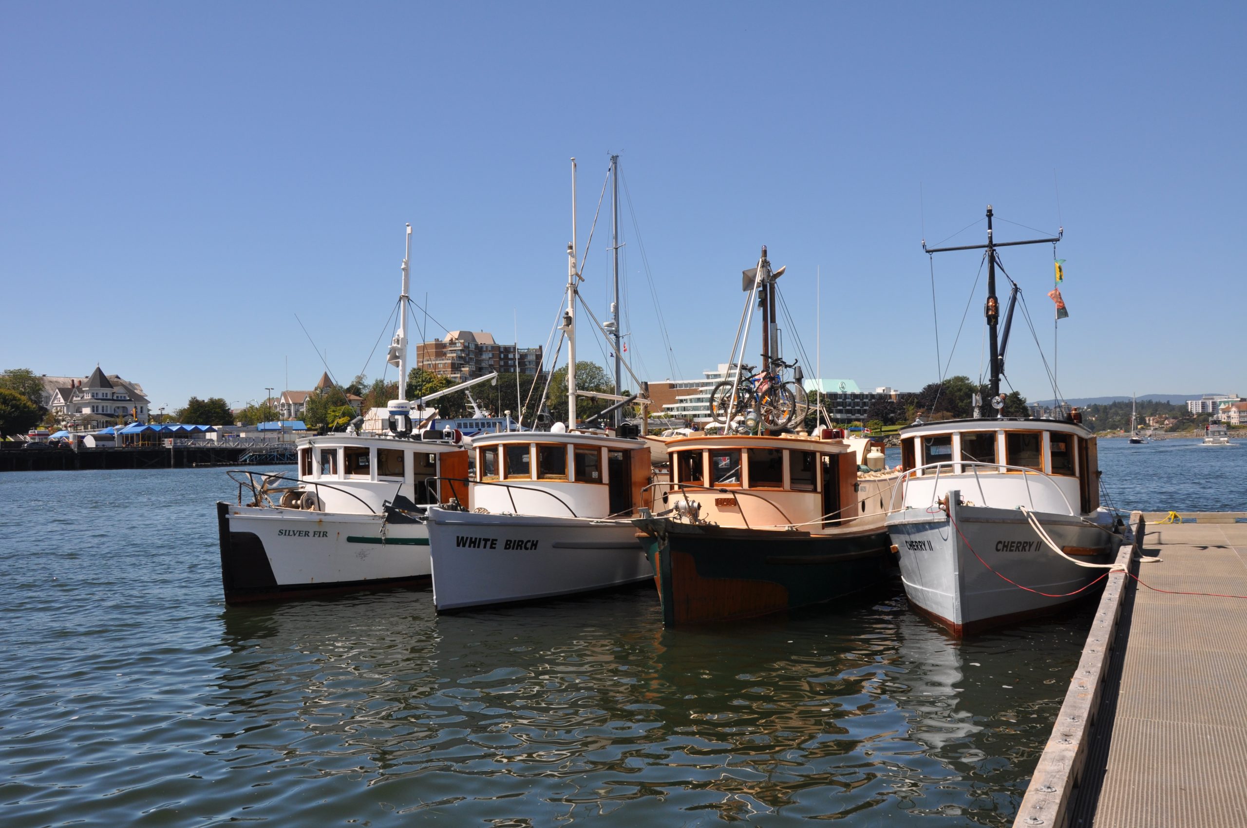 Four wooden boats tied alongside a dock on the Fraser River
