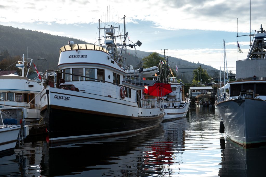 Crystal S Project - Supporting the Stern