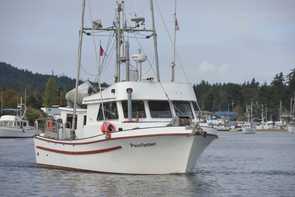 The Pacesetter (boat with a white hull) sailing on the water.