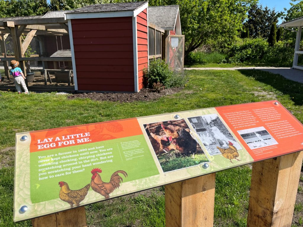 Chicken info panel in front of red wooden building