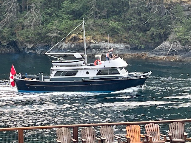 Navy blue and white boat travelling through deep green water